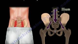 Sacroiliac Joint Dysfunction Animation  Everything You Need To Know  Dr Nabil Ebraheim MD [upl. by Nnylirret]