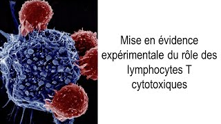 SVT  Première  Rôle des lymphocytes T cytotoxiques mise en évidence expérimentale [upl. by Ostraw831]