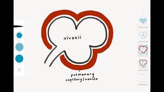 Pulmonary Edema [upl. by Alcott675]