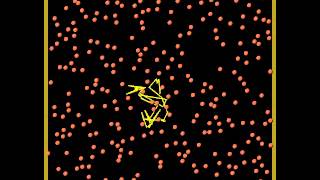 2D Animation of quotrandom walkquot During Diffusion of Particles [upl. by Madeleine]