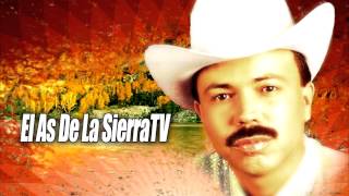 Los Dareyes de la Sierra x Larry Hernández  La Voladora En Vivo [upl. by Enar]