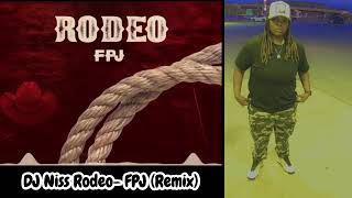 DJ Niss RodeoFPJ Remix [upl. by Suollecram]