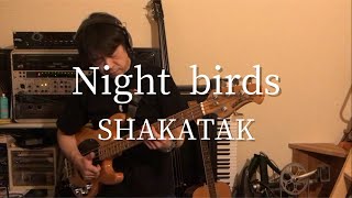 Night birds  SHAKATAK bass cover [upl. by Ahsyak]