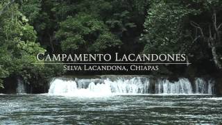 Campamento Lacandones en la Selva Lacandona Chiapas [upl. by Trueblood]