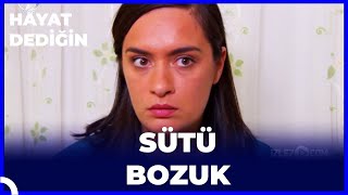 Hayat Dediğin  Sütü Bozuk [upl. by Cila917]