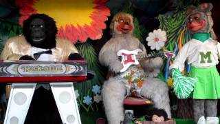 Rockafire Explosion playing in Ireland [upl. by Monreal903]