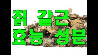 칡kudzu root 갈근의 한의학적 효능 [upl. by Jarnagin]