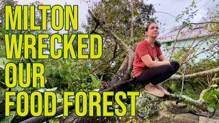 Our Florida Food Forest Got Wrecked By Hurricane Milton [upl. by Ahsahs]