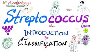 Streptococci  Introduction and Classification Group A Group B Group D  Microbiology 🧫 [upl. by Ahtiek574]