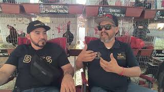 🐓😎‼️ENTREVISTA A REYNOSO GAME FARM🐓😎‼️ [upl. by Charyl]