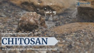 Chitosan as a Pharmaceutical Excipient [upl. by Enella]