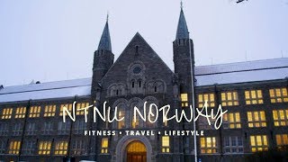 NTNU TRONDHEIM THE MOST BEAUTIFUL UNIVERSITY IN EUROPE [upl. by Ailito681]