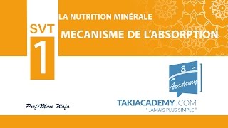 1ère annéeSVT03 mecanisme de labsorption [upl. by Ahsaet]