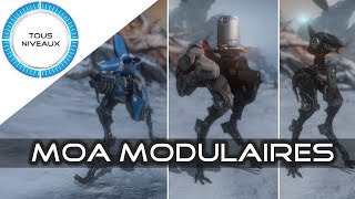 Les MOA Modulaires  Warframe FR [upl. by Anilat]