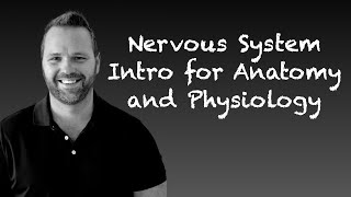 Nervous System Introduction for Anatomy and Physiology CNS and PNS [upl. by Nitsreik254]