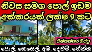 සින්නක්කර පොල් ඉඩම හා නිවස අක්කරයක් ලක්ෂ 9 කට  Pol idam  Coconut land  Land for sale House sale [upl. by Theresa]