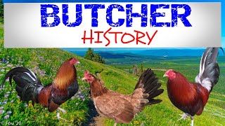 BUTCHER GAMEFOWL HISTORY [upl. by Arreip]