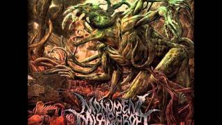 Monument Of Misanthropy  Anger Mismanagement Full Album [upl. by Ztirf]