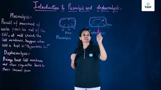 Introduction to Plasmolysis and Deplasmolysis [upl. by Sivrup109]