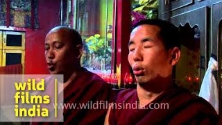 Tibetan monks practice multiphonic chanting [upl. by Karlise160]