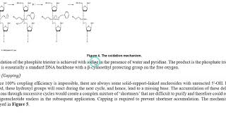 Oligonucleotide synthesis URDU [upl. by Wynn94]