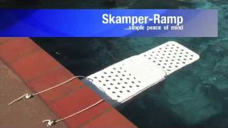 Skamper Ramp Animal Rescue Device for Swimming Pools [upl. by Eloise]