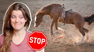 Horse Training Methods I Would NEVER Use [upl. by Esther86]