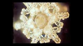 Masaru Emoto  Water Experiments [upl. by Ledniahs453]