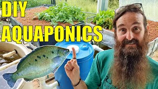 Starting an Aquaponics System  How to Start amp What You Need [upl. by Irdua543]