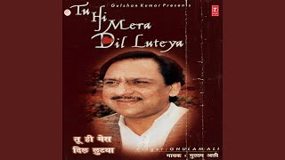 TU HI MERA DIL LUTEYA [upl. by Latimer]