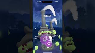 Galarian weezing dominates great league  Pokémon Go GBL l 90 [upl. by Macfarlane]