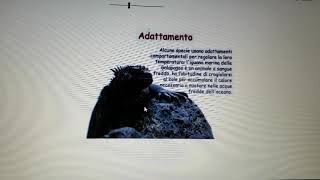 Scienze classe 3° L adattamento degli animali e dell uomo all ambiente [upl. by Astri]