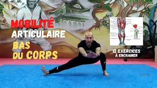 6 MIN ROUTINE MOBILITÉ ARTICULAIRE BAS DU CORPS avant ou après une séance de sport👍💪 [upl. by Bengt]