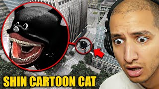 Drone Catches SHIN CARTOON CAT in a City [upl. by Peggy]