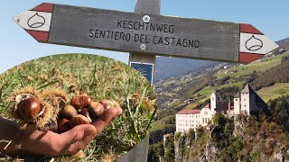 Von Klausen über Kloster Säben zum Kastanienweg [upl. by Leland]