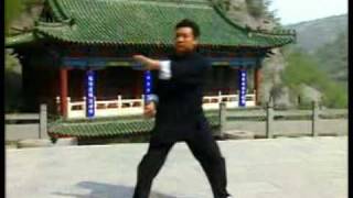 少林羅漢十三式  Luohan Shi San Shi  Shaolin Luohan 13 Postures or Exercises  part 1 [upl. by Graves]