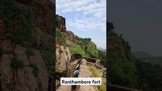 ranthambore ranthambhor ranthambhorenationalpark ranthamborefort vlog ytshortsindia ytshorts [upl. by Natalee]