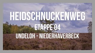 Heidschnuckenweg  Etappe 04  Undeloh  Niederhaverbeck  Lüneburger Heide  GPSTrack [upl. by Oinotnas340]