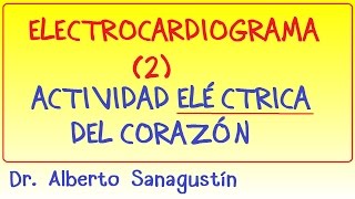 Electrocardiograma 2 Actividad Eléctrica del Corazón [upl. by Palecek]