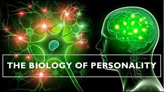 The Biology of Personality [upl. by Enaj]