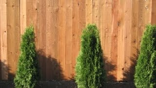 HOW TO INSTALL A CEDAR FENCE part 2 [upl. by Kriss]