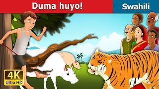 Duma huyo  There comes the Tiger in Swahili  Swahili Fairy Tales [upl. by Rehpitsirhc]