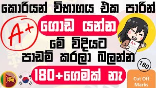 Get 180 Marks For Korean Exam 2024  කොරියන් විභාගය එක පාරින් ගොඩ දාගමු koreanexam2024 [upl. by Ameline]