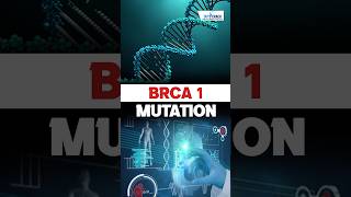 What is a BRCA Gene Mutation 🤔 ndascience sciencebyswatimam [upl. by Werdna]