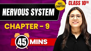 NERVOUS SYSTEM In 45 Mins  Complete Chapter Mind Map  Class 10 ICSE BIOLOGY [upl. by Choo]