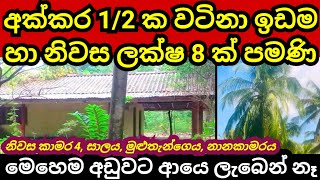 අක්කර 12 යි නිවසයි දෙකම ලක්ෂ 8 ක් විතරයි  Aduwata idam  House for sale  Land for sale  Idam [upl. by Aicil]