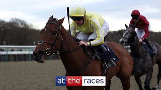 Too good Oh So Grand wins the Winter Oaks at Lingfield [upl. by Lluj883]