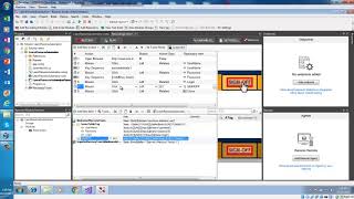 Ranorex Installation Record and Run Code Modification and Debugging [upl. by Sitsuj]