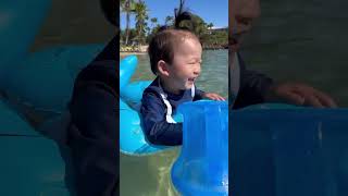 I took my kids swimming with dolphins and turtles in Hawaii 🐬 🐢 🤿 [upl. by Anial]