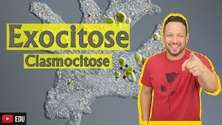 Exocitose  Clasmocitose  Citologia [upl. by Aissac]